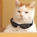 thedepthsofeverest avatar