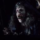 thediablofromtheshadows avatar