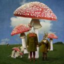 thediariesofadustbunny avatar