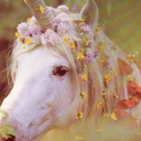 thediaryofa-weirdo avatar