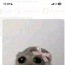 thedirtbetweenyourtoes avatar