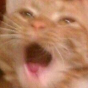 thedisappointment1 avatar