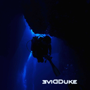 thediveduke avatar