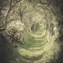 thedivineinvasion avatar