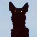 thedog-bitesback avatar