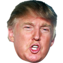 thedonaldtrump avatar