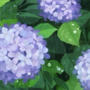 thedoveofchaos avatar