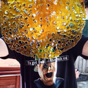 thedraftdodger avatar