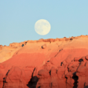 thedreamcatcher avatar