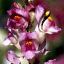 thedreamerstime avatar