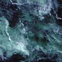 thedreamingbeings avatar