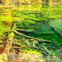 thedreamsareripped avatar