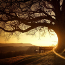 thedubioustruth avatar