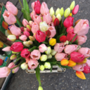 theduchessapproach-blog avatar