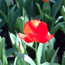 thedudesareawake avatar