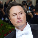 thee-elon-musk avatar