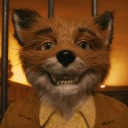 thee-fantastic-mrfox avatar