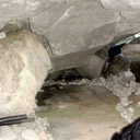 thee-hounds-head avatar