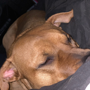 thee-lonelystoner avatar