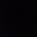 theelephantdances avatar