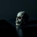 theelephantroom4 avatar