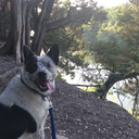 theeloquentintheroom avatar