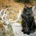 theemptysound avatar