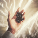 theendofallendings avatar