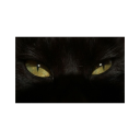 theendofthew0rld avatar