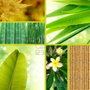 theesalenroom avatar