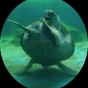 theespookybaker avatar