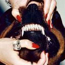 theesssential avatar