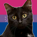 theeveningbreezeknows avatar