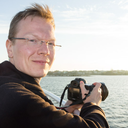 theexplodingfish avatar