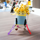 theexploratory avatar