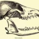 theeyewatches-everything avatar