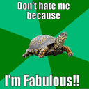 thefabulousturtle avatar