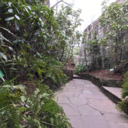 thefallennangel avatar