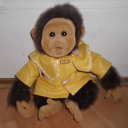 thefallenpenis avatar