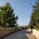 thefallingdark avatar