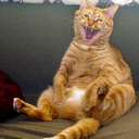 thefandommannequin avatar