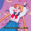 thefangirlofurdreams avatar