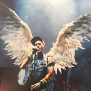 thefansofsufjan avatar