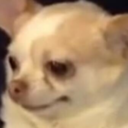 thefathermeme avatar