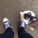 thefaultinfiction avatar