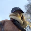 thefinalcallgirl avatar