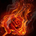 theflamerosesystem avatar