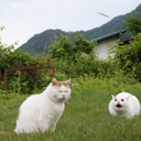 theflamingskull145 avatar