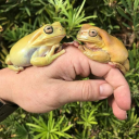 theflintwarlock avatar