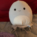 theflowerclub12 avatar